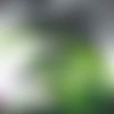 Air Purifiers and Cars: How to Keep Your Vehicle's Air Fresh and Clean