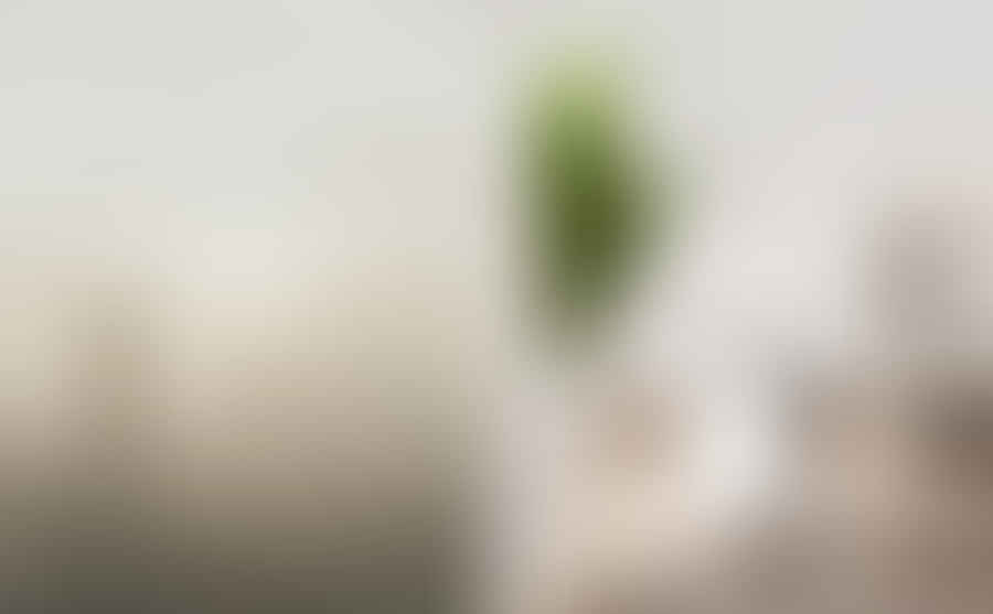 Air purifier types