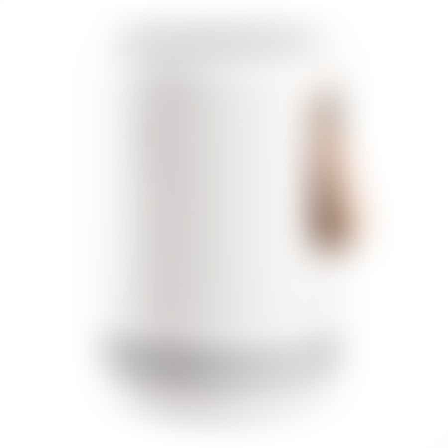 Screenshots of customer reviews for Molekule and other air purifier brands