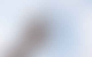 Does the Levoit air purifier work?