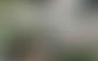 How effective are home air purifiers?